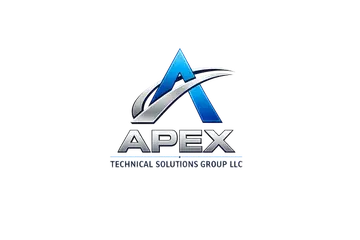 Apex TSG Group logo